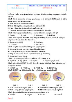 Bộ đề thi giữa học kỳ 2 Sinh 10 năm 2022 (có đáp án)