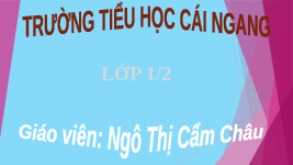 Giáo án điện tử Hoạt động trải nghiệm 1 Chủ đề 2 Chân trời sáng tạo : Những việc em thường làm ở nhà