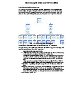 Chức Năng Tổ Chức Của TH True Milk: Mô Hình và Giải Pháp Cải Tiến