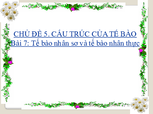 Bài 7: Tế bào nhân số và tế bào nhận thực | Bài giảng PowerPoint môn Sinh học 10 | Cánh diều