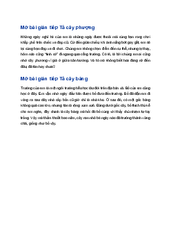 Viết đoạn mở bài cho bài văn tả một cây bóng mát | Tập làm văn 4