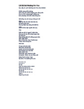 Lời Bài Hát Chờ Đợi Em - Waiting For You của MONO