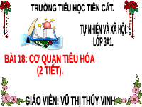 Giáo án điện tử TN&XH 3 Bài 18 Kết nối tri thức: Cơ quan tiêu hoá