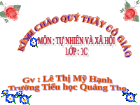 Giáo án điện tử Tự nhiên và xã hội 1 bài 25 Chân trời sáng tạo : Người dân trong cộng đồng