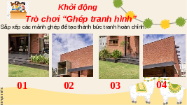 Giáo án điện tử Khoa học tự nhiên 6 bài 17 Chân trời sáng tạo : Tế bào