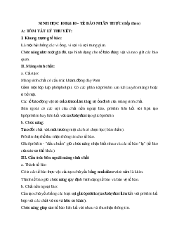Tóm tắt lý thuyết Sinh học 10 bài 10: Tế bào nhân thực (Tiếp theo)