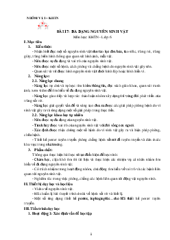 Chủ đề 8. Bài 17: Đa dạng nguyên sinh vật(2) | Bài giảng KHTN 6 | Cánh diều