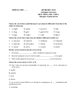 Đề thi học kì 2 môn tiếng Anh lớp 11 năm 2022 - 2023 | đề 1