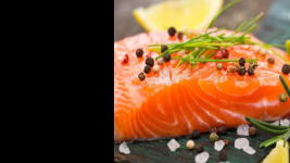 Cá hồi biến đổi gen| BT môn Xu hướng phát triển thực phẩm| Trường Đại học Bách Khoa Hà Nội