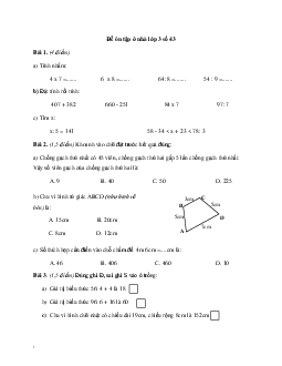 Đề ôn tập ở nhà lớp 3 số 43 có đáp án - (Ngày 20/4)
