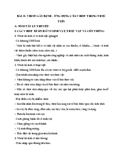 Tóm tắt lý thuyết Sinh học 10 bài 31: Virut gây bệnh. Ứng dụng của virut trong thực tiễn | Kết nối tri thức