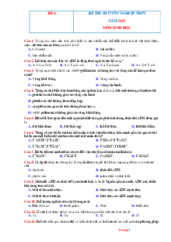 Đề Thi Thử Tốt Nghiệp THPT 2022 Môn Sinh Học Đề 4 (Có Đáp Án)