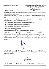 Đề giữa kì 2 Toán 11 năm 2024 – 2025 trường THPT Việt Nam – Ba Lan – Hà Nội có đáp án