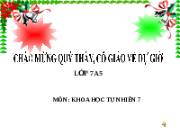 Giáo án điện tử Khoa học tự nhiên 7 bài 12 Chân trời sáng tạo : Mô tả sóng âm