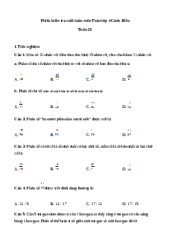 Bài tập cuối tuần Toán lớp 4 Cánh diều - Tuần 20