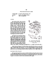Dó - thực vật học | Đại học Lâm Nghiệp