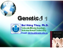 Lecture 5: Understanding Genetics I - Cell Cycle & Mitosis | Môn Biology - Trường Đại học Quốc tế, Đại học Quốc gia Thành phố Hồ Chí Minh