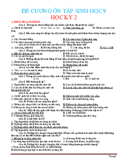Đề Cương Ôn Tập Sinh Học 9 HK2 (Có Lời Giải)