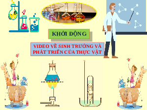 Giáo án điện tử Khoa học tự nhiên 7 bài 31 Kết nối tri thức : Ôn tập bài tập chương 9
