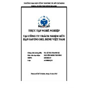 Báo cáo Thực Tập Nghề Nghiệp tại Công Ty TNHH Savino Del Bene Việt Nam