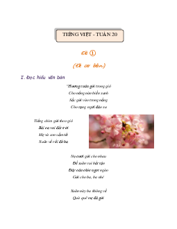 Bài tập cuối tuần lớp 3 môn Tiếng Việt Chân trời sáng tạo - Tuần 20 (Nâng cao)