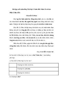 Bài tập cuối tuần tiếng Việt lớp 3 Cánh diều Tuần 21 cơ bản