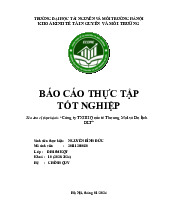 Công ty trách nhiệm hữu hạn Quốc tế Thương Mại và Du lịch DLT | Môn Báo cáo thực tập tốt nghiệp - Đại học Tài nguyên và Môi trường Hà Nội