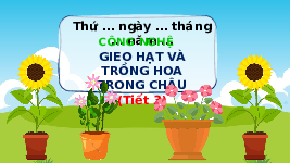 Giáo án điện tử Công nghệ 4 Bài 3 Tiết 3 Chân trời sáng tạo: Gieo hạt và trồng hoa trong chậu