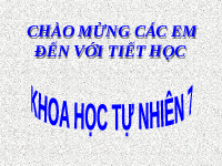 Giáo án điện tử Khoa học tự nhiên 7 bài 17 Chân trời sáng tạo : Ảnh của vật tạo bởi gương phẳng