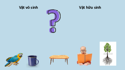 Bìa 3 | Bài giảng PowerPoint môn Sinh học 10 | Chân trời sáng tạo