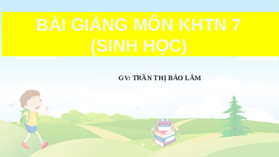 Giáo án điện tử Khoa học tự nhiên 7 Kết nối tri thức : Bài giảng môn KHTN