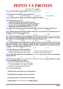 Trắc nghiệm Peptit và Protein hóa học 12 (có đáp án)