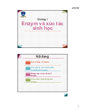 Chương 1 Đặc điểm và Động học của Enzym trong Sinh học | Bài giảng hóa sinh