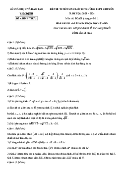 Đề thi vào 10 chuyên môn Toán (chung – TN) năm 2023 – 2024 sở GD&ĐT Nam Định
