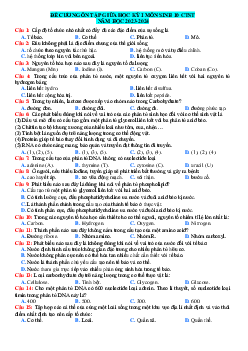 Đề cương ôn tập giữa học kì 1 môn Sinh học 10 sách Chân trời sáng tạo