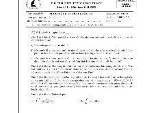 Đề thi cuối HKI học phần Thực hành vi tích phân 1B năm 2024 - 2025 | Trường Đại học Khoa học tự nhiên, Đại học Quốc gia Thành phố Hồ Chí Minh