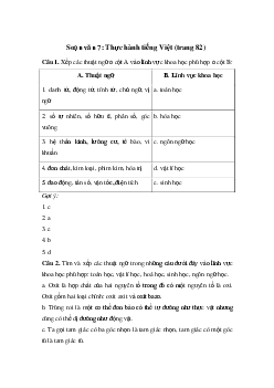 Thực hành tiếng Việt trang 82 | Soạn văn 7 Cánh diều