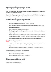 Tổng Quan Nghiên Cứu: Định Nghĩa và Vai Trò Của Nó