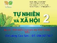 Giáo án điện tử Tự nhiên và Xã hội 2 Bài 25 Kết nối tri thức: Tìm hiểu cơ quan bài tiết nước tiểu