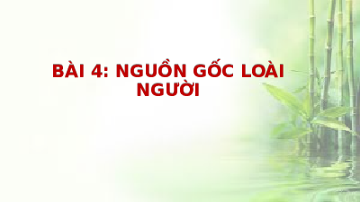 Giáo án điện tử Lịch Sử 6 KNTT - Bài 4(Tiết 1,2,3) Kết Nối Tri Thức Với Cuộc Sống:  Nguồn gốc loài người.