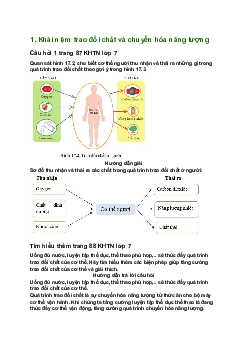 Giải SGK Khoa học tự nhiên 7 Bài 17: Vai của trao đổi chất và chuyển hoá năng lượng ở sinh vật| Cánh diều