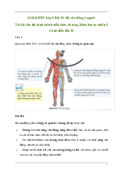 Giải KHTN 8 Bài 28: Hệ vận động ở người | Cánh diều