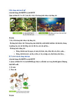 Giải Khoa học tự nhiên lớp 6 - Bài 38: Đa dạng sinh học | Kết nối tri thức