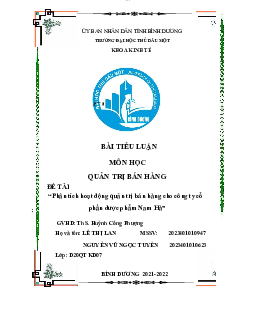Tiểu luận: Phân tích hoạt động quản trị bán hàng cho công ty