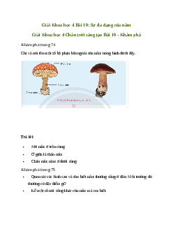 Giải Khoa học lớp 4 Bài 19: Sự đa dạng của nấm | Chân trời sáng tạo