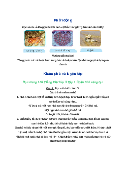 Tiếng Việt 3 trang 106 Bài 1: Cậu bé và mẩu san hô | Chân trời sáng tạo