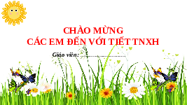 Giáo án điện tử Tự nhiên và xã hội 2 Bài 3 Chân trời sáng tạo: Phòng tránh ngộ độc khi ở nhà.