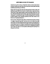 PHÂN TÍCH BÁO CÁO DÒNG TIỀN VINAMILK NĂM 2022