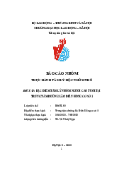 Báo cáo nhóm Thực hành tâm lý học nhóm nhỏ | Trường đại học Lao động - Xã hội