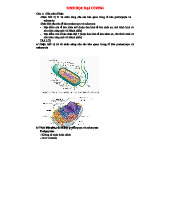 Sinh Học Đại Cương: Ôn Tập Cuối Kỳ và Kiến Thức Cơ Bản